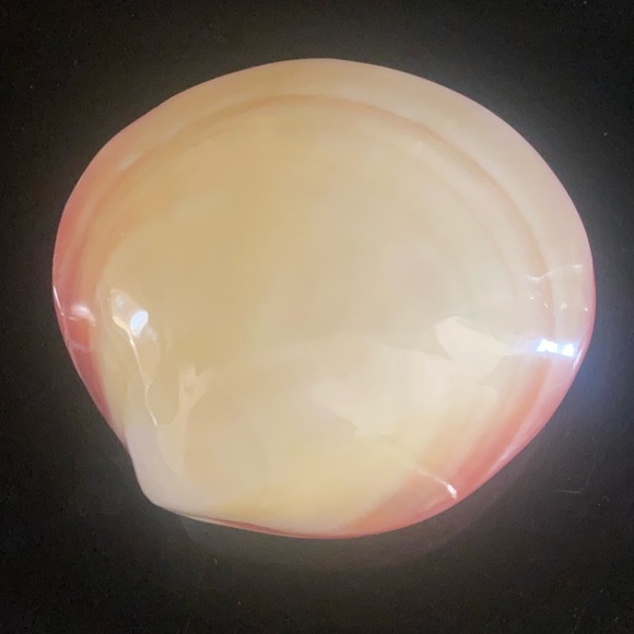 Porcelain Lava Shells For hot shell massage NOUVEAU COQUILLAGE POUR MASSAGE - Picture 6 of 8